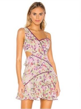 BCBG MaxAzria Ruffle Cutout Dress in Multicolor Botanical Floral Iris NWOT | 0